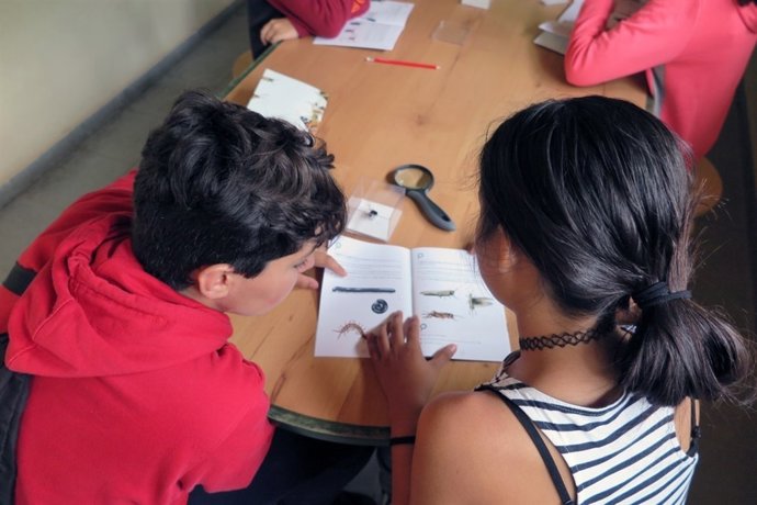 Alumnos madrileños investigan sobre los polinizadores