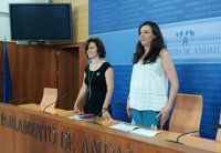 Podemos pide una reunión con la nueva consejera Gaya para abordar "cinco incendios que amenazan" la educación andaluza