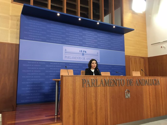 La parlamentaria del PSOE-A Noelia Ruiz en rueda de prensa