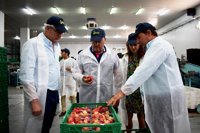 El PP pedirá en el Debate sobre el Estado de la Región que la Junta evalúe el impacto del Brexit para la fruta extremeña