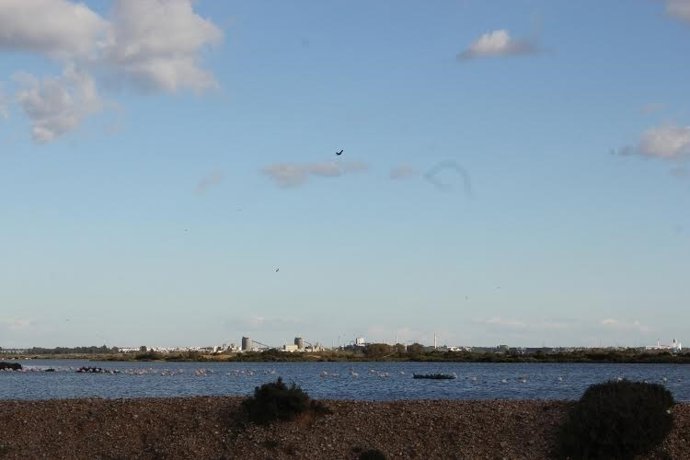 Marismas del Odiel en Huelva.