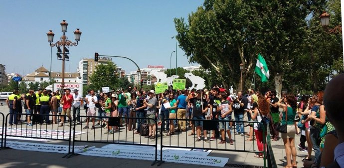 Interinos universitarios andaluces se concentran en San Telmo