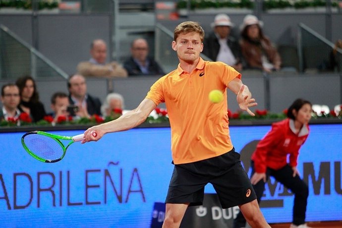 David Goffin 