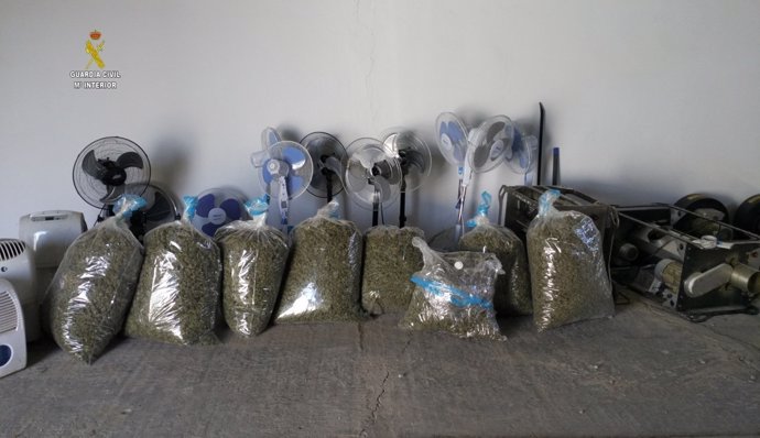 Bolsas de marihuana intervenida