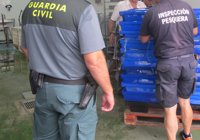 Intervienen en Isla Cristina (Huelva) más de 1.700 kilos de pescado sin etiquetar