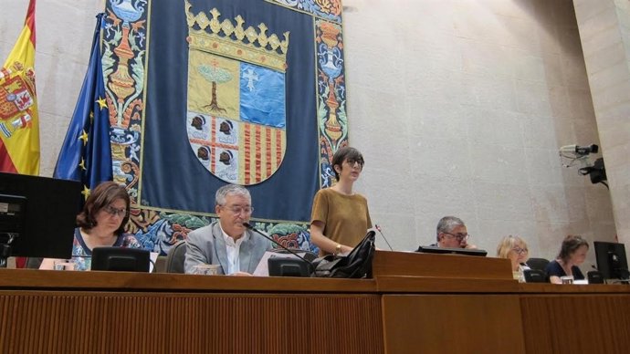 Las Cortes muestran su apoyo a los refugiados.