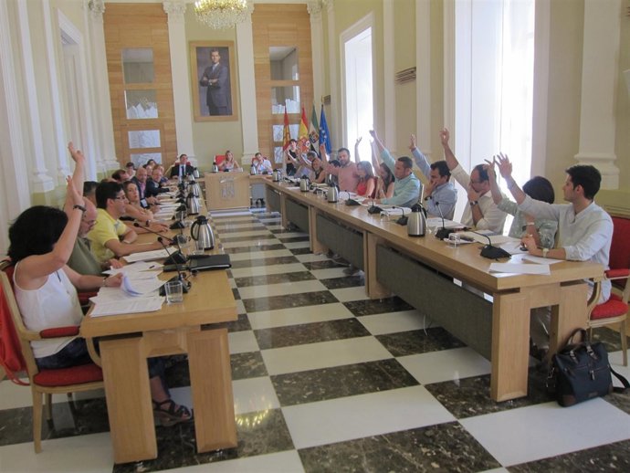 Pleno del mes de junio 