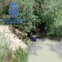 Rescatado un hombre que se estaba ahogando en el río Guadalquivir cerca del Jardín Botánico de Córdoba