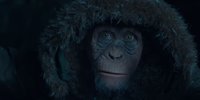 La guerra del planeta de los simios: Bad Ape y el Coronel protagonizan los dos nuevos clips