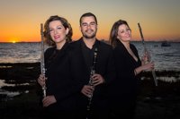 El Trío Anemoi protagoniza un concierto en Diputación con motivo del Tricentenario