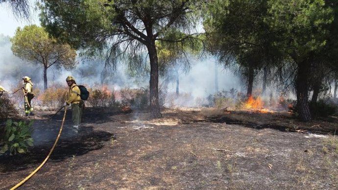 Efectivos del Infoca en la extinción de un incendio en Aljaraque.