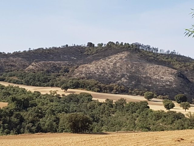 Incendio Almoguera