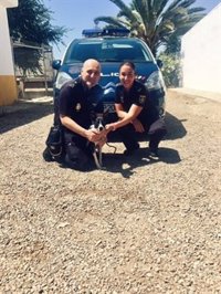 Rescatado un perro tras diez días abandonado en una vivienda de Sevilla sin agua ni comida