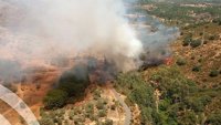Infoca da por estabilizado el fuego en un paraje de Calañas (Huelva)