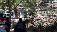 Más de 40 operarios de Parques y Jardines trabajan en retirar las ramas caídas y asegurar el ficus de Santo Domingo