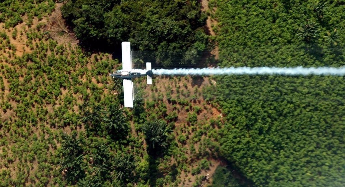 Trump Le Pide A Santos Que Reanude Las Fumigaciones Aereas De Los Campos De Coca En Colombia