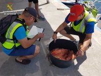 Incautan más de 100 kilos de pescado sin etiquetar en Alicante y la isla de Tabarca