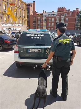Un agente de la Guardia Civil. 