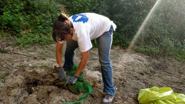 Un voluntario limpiando un paraje. 