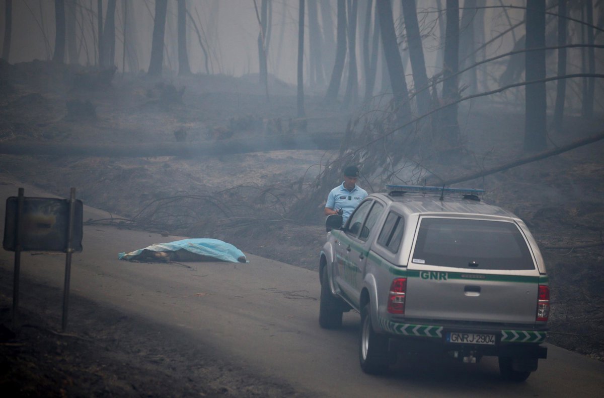 Aumenta a 62 el número de fallecidos por el incendio forestal de Leiria ...