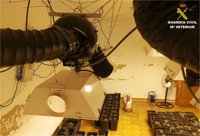 Dos arrestados en Dénia por cultivar marihuana y traficar con anabolizantes y esteroides