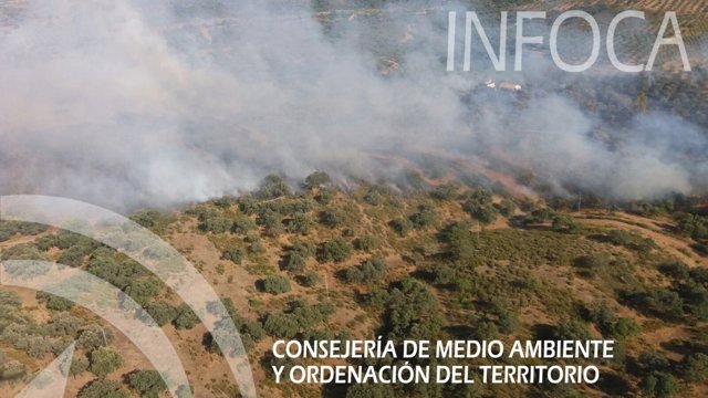Incendio forestal en El Garrobo (Sevilla)