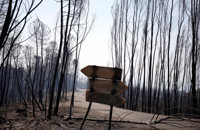 Incendio en Portugal