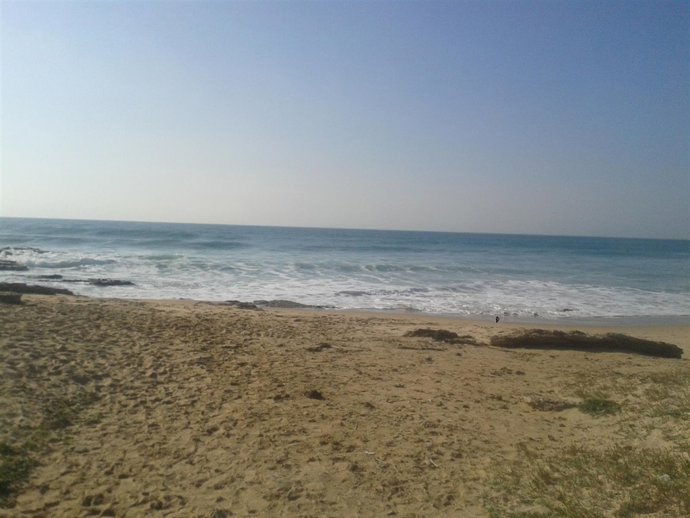 Playa de El Palmar (Cádiz)