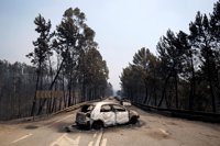 Tejerina ofrece a Portugal "toda la solidaridad y colaboración" de España por el incendio forestal