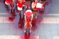 Echávarri condena que se manchara la Foguera Oficial en una protesta antitaurina pero defiende el derecho a manifestarse