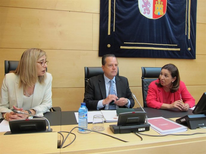 El presidente del Consultivo, Mario Amilivia, comparece en las Cortes