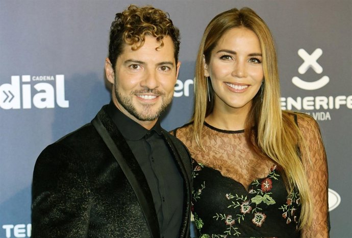 David bisbal y rosanna zanetti