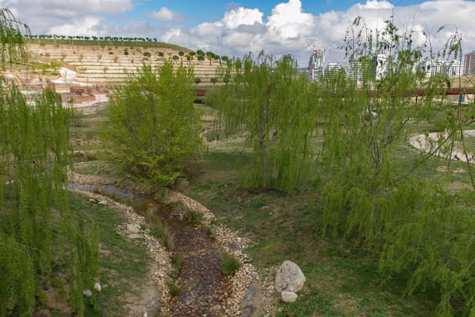 Parque Felipe VI de Madrid, naturaleza, campo, pradera, prado, árbol, árboles