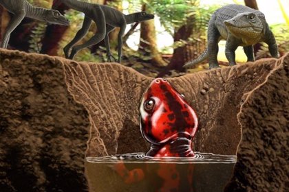 Un Nuevo Fosil Cambia El Origen De Los Anfibios Modernos