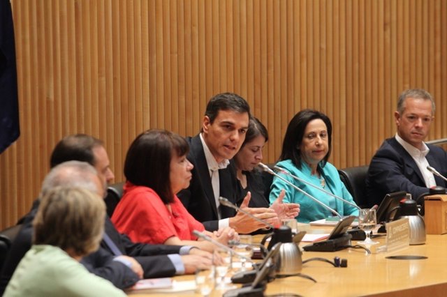 Pedro Sánchez intervé en la reunió del Grup Parlamentari Socialista