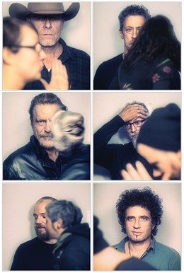 Swans