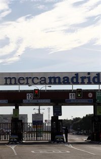 Mercamadrid incrementó un 35% su beneficio neto en 2016 hasta alcanzar los 8,4 millones de euros