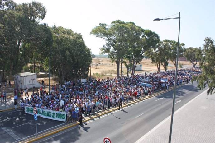 Manifestación de la Plataforma en Defensa de los Regadíos del Condado. 