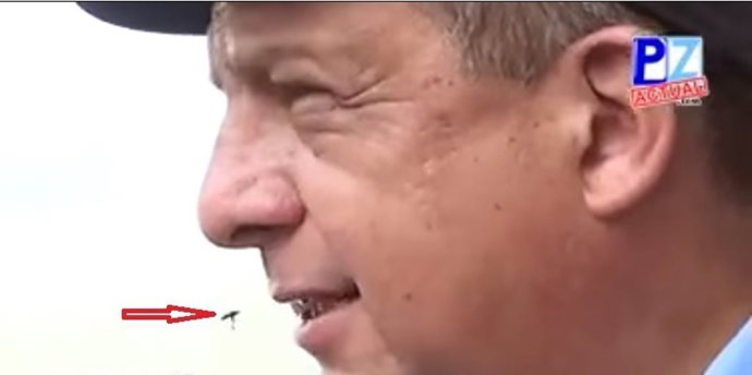 Luis Guillermo Solís, Presidente de Costa Rica, se come una avispa por accidente