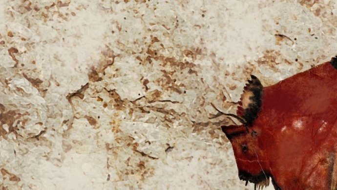 Imagen de 'El Paso de los bisontes'