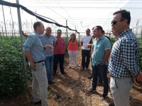 El delegado de Agricultura de la Junta en Granada visita la zona de Zújar y Freila dañada por el granizo