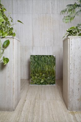 Nota/ El Cendeac Acoge Una Nueva Sesión De ‘Full Frame’ Con Un Encuentro Con El 