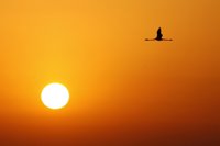 El verano será más caluroso de lo normal en España y especialmente en el centro y sur de la Península