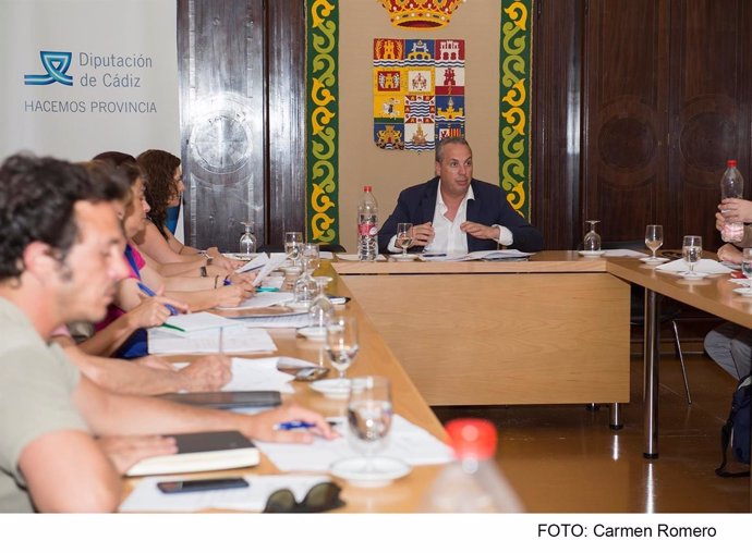 Ruiz Boix en el consejo de Participación de Diputación