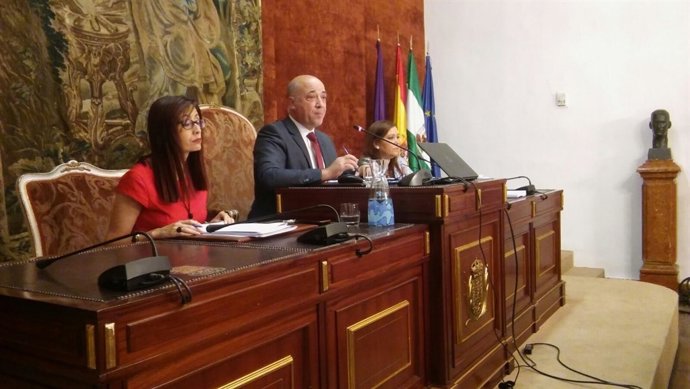 Antonio Ruiz preside el Pleno de la Diputación de Córdoba
