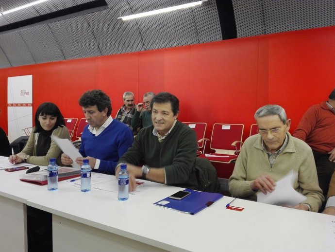 Comité Federal de la FSA-PSOE