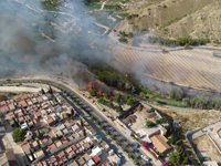 Los Bomberos estabilizan el incendio declarado en la orilla del río, en Villanueva del Segura