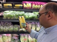 Mercadona prevé comercializar más de 200.000 kilos de maíz dulce de Sevilla en esta campaña