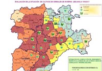 Declarada la "excepcionalidad" de la cosecha en toda la Comunidad