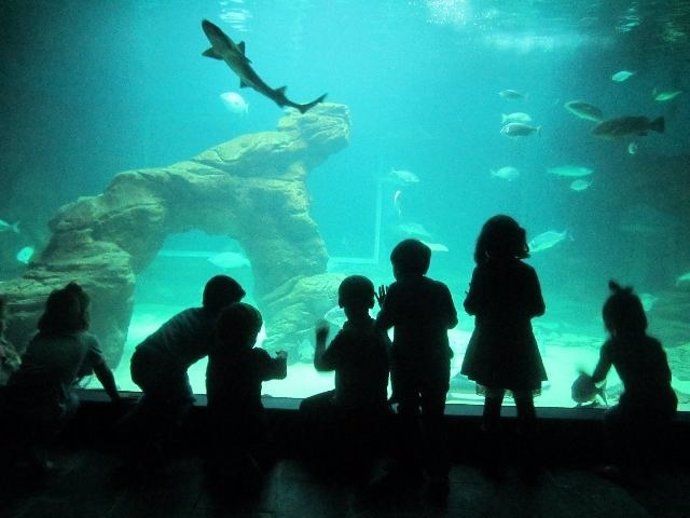 Talleres para niños en el Museo Marítimo del Cantábrico